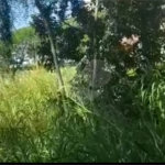 Terreno à venda em Paraisópolis, São Paulo, SP
