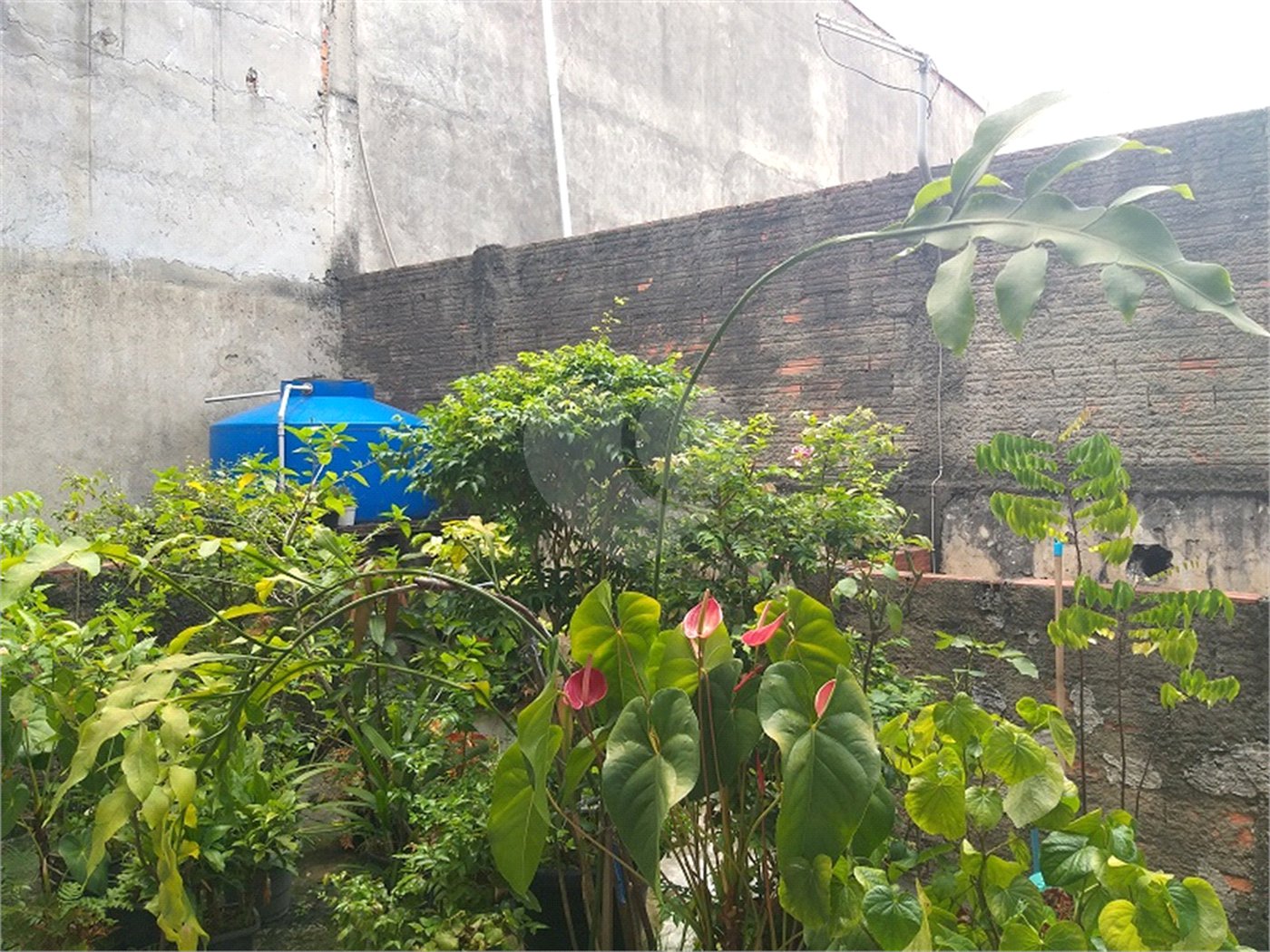 Prédio à venda ou para alugar em Freguesia do Ó, São Paulo, SP