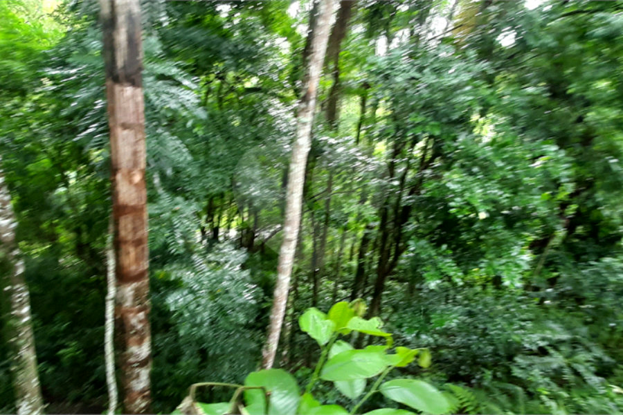 Terreno à venda no condomínio Associação Reserva das Hortênsias, Mairiporã - SP
