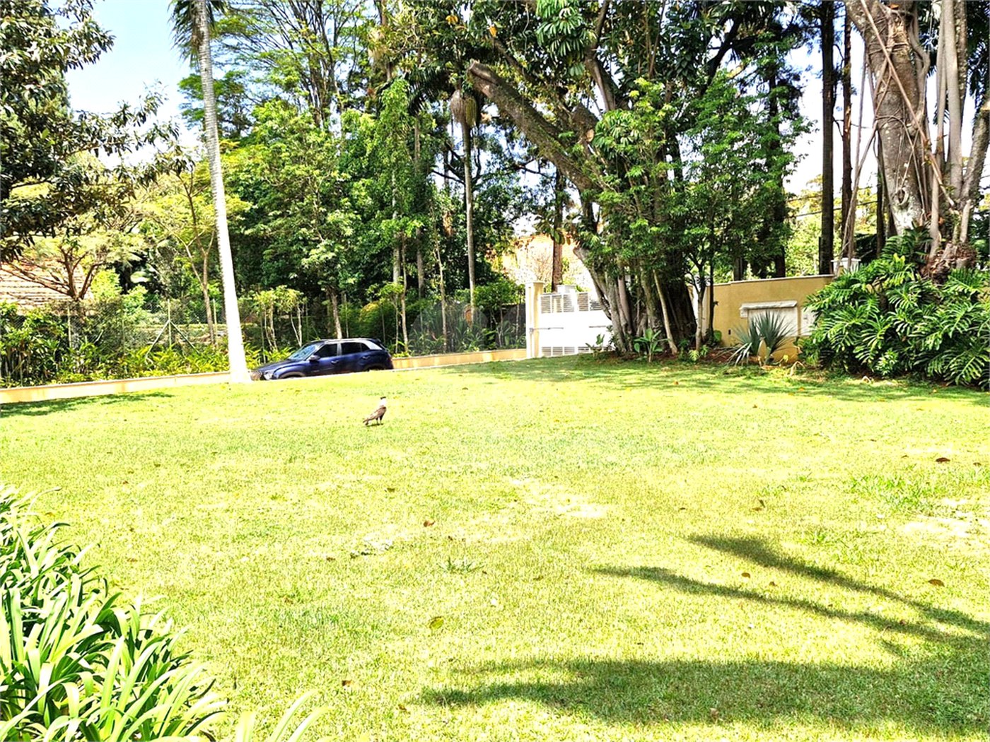 Casa à venda com 4 suítes no condomínio Chácara Flora, São Paulo - SP