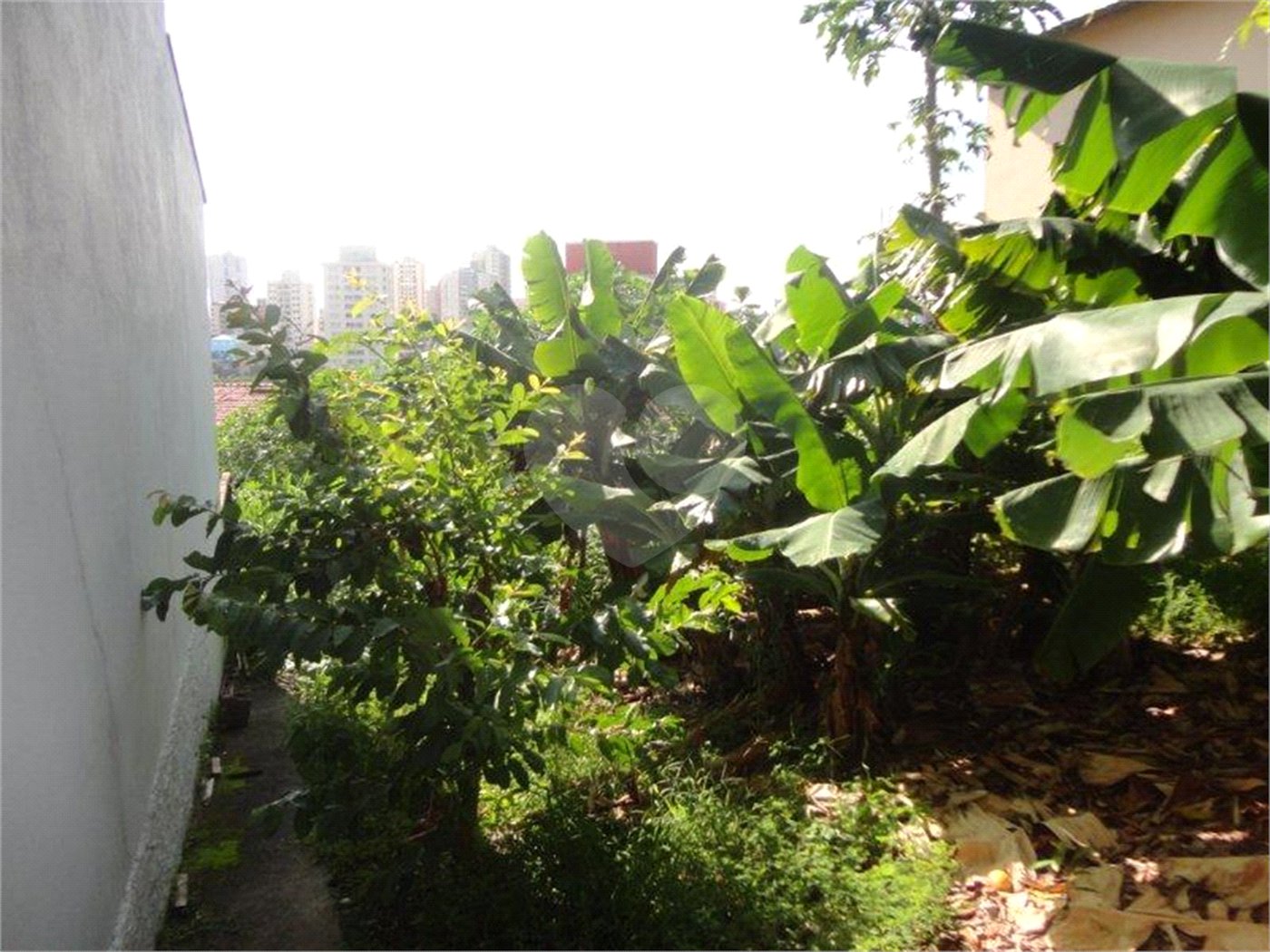 Terreno à venda em Vila São José, Valinhos, SP