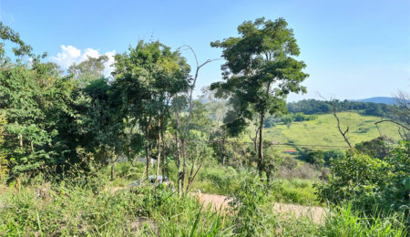 Terreno à venda em Jardim Paulista, Atibaia, SP