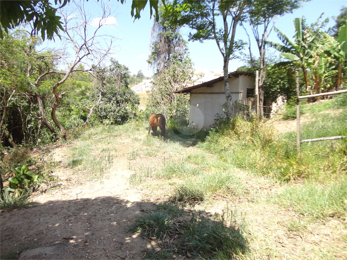 Chácara à venda com 4 quartos em Vista Alegre, Vinhedo, SP