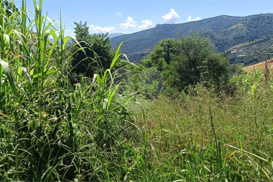 Terreno à venda em Luiz Fagundes, Mairiporã, SP