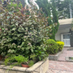 Casa à venda com 4 quartos, sendo 3 suítes, em Jardim França, São Paulo, SP
