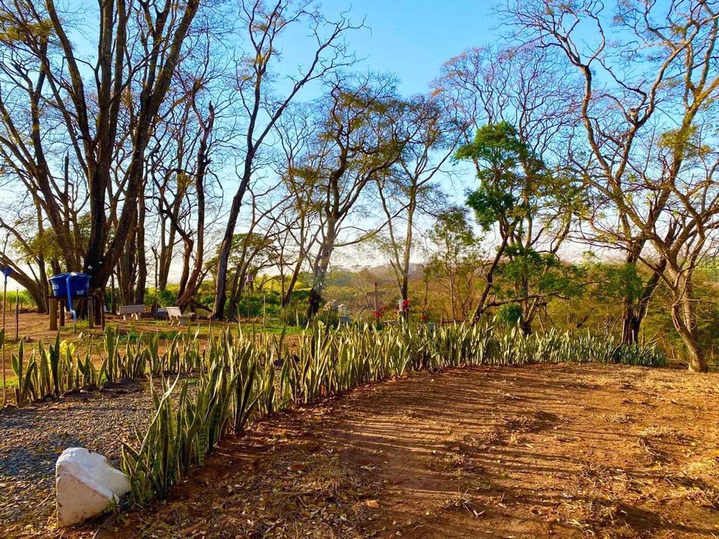 Sítio na cidade de Taiuva-SP.