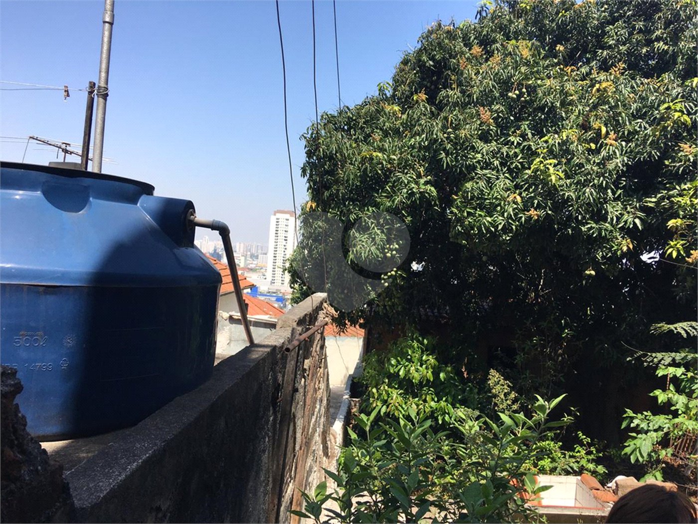 Terreno à venda com 3 quartos em Vila Maria, São Paulo, SP