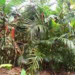 Sítio à venda com 13 quartos, sendo 4 suítes,  em Portão, Atibaia, SP