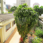 Casa à venda com 4 quartos em Vila Olímpia, São Paulo, SP