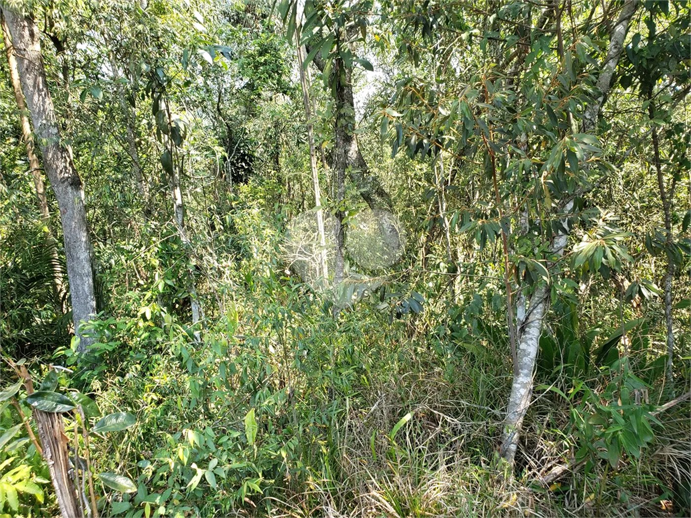 Terreno à venda no condomínio Cantareira, Mairiporã - SP