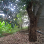 Terreno à venda em Casa Verde, São Paulo, SP
