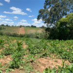 Área de Terra à venda em Cristóvão, Araçoiaba da Serra, SP
