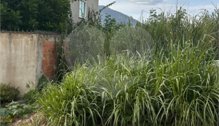 Terreno à venda em Campo Grande, Rio de Janeiro, RJ