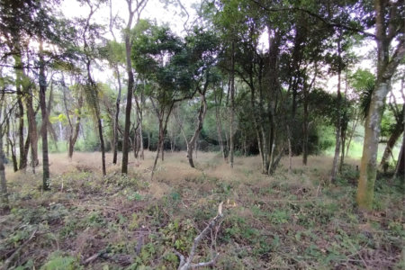 Terreno à venda em Chácaras do Guacuri, Itupeva, SP