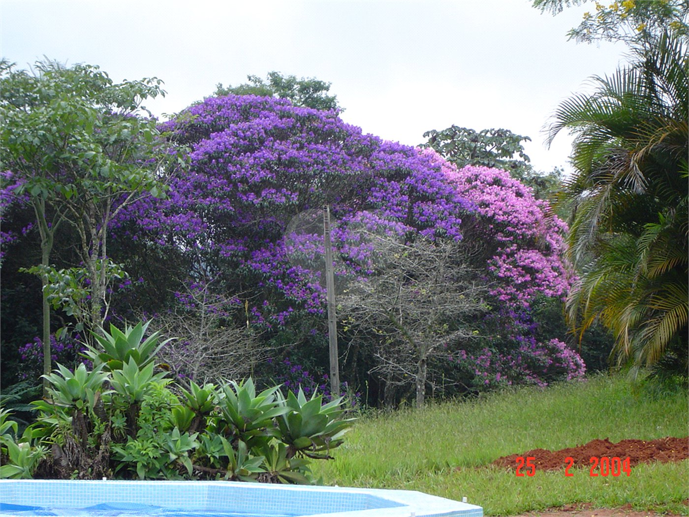 Chácara à venda com 5 quartos em Volta Grande (são João Novo), São Roque, SP