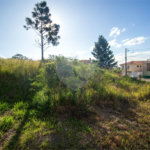 Terreno à venda em Loteamento Jardim do Sol (mailasqui), São Roque, SP