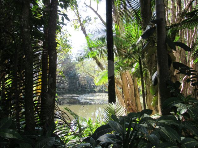Terreno à venda em Chácara Flora, São Paulo, SP