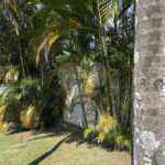 Casa à venda com 6 quartos, sendo 3 suítes, em Chácara Malota, Jundiaí, SP