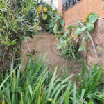 Terreno à venda em Vila Paulicéia, São Paulo, SP