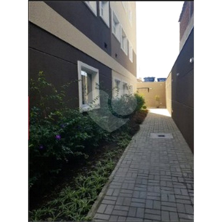 Apartamento à venda com 1 quarto em Tucuruvi, São Paulo, SP
