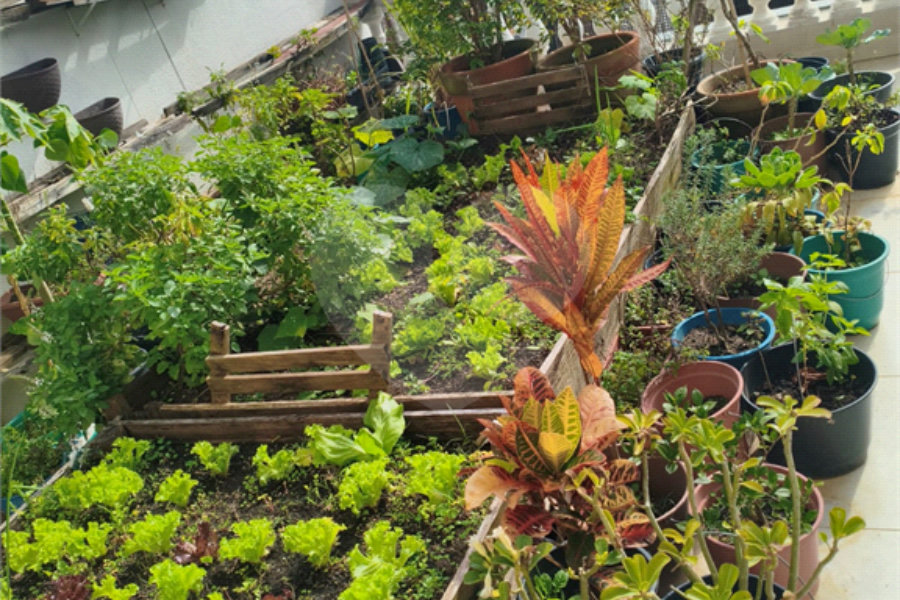 Sobrado à venda com 2 quartos em Vila Guedes, São Paulo, SP