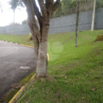 Terreno à venda no condomínio Real Park - Vila Oliveira, Mogi das Cruzes - SP