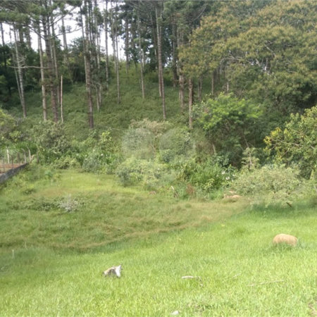 Terreno à venda em Chácara Fernão Dias, Bragança Paulista, SP
