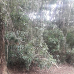 Terreno à venda em Suasalito, Mairiporã, SP