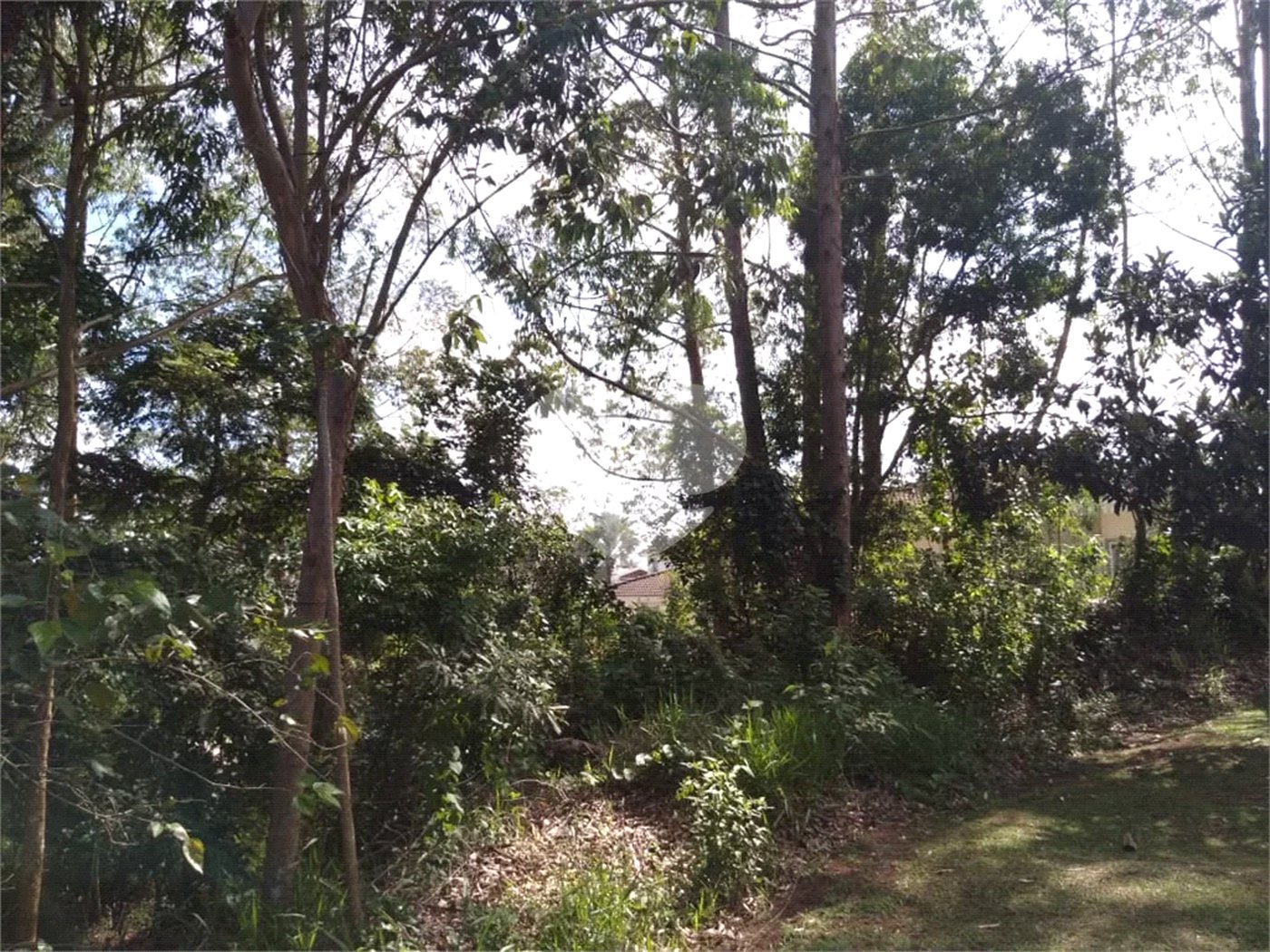 Terreno à venda no condomínio Suíça da Cantareira, Mairiporã - SP