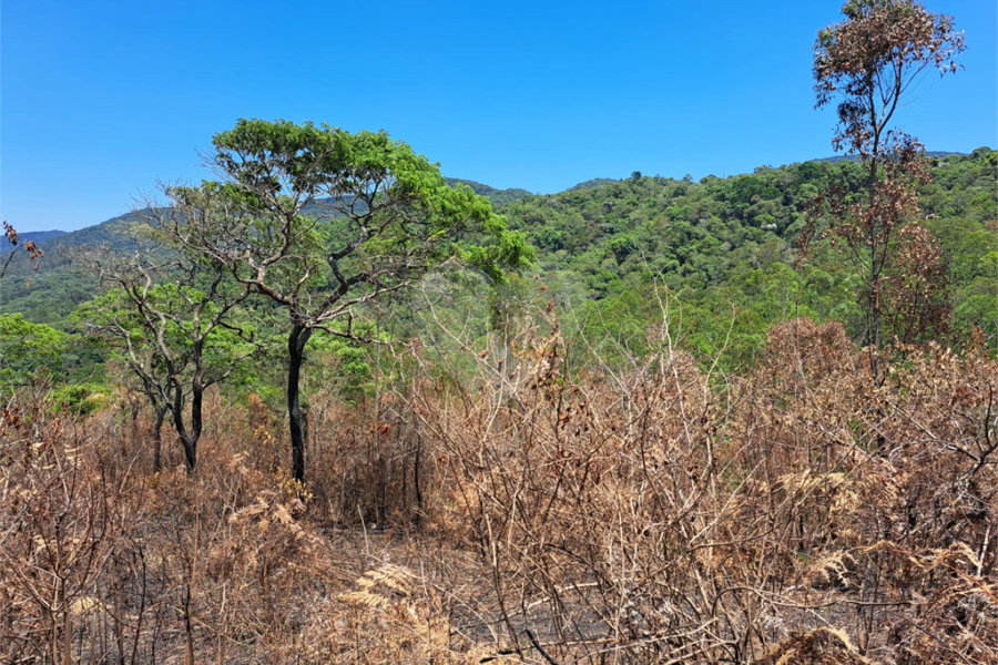 Terreno à venda em Serra da Cantareira, Mairiporã, SP