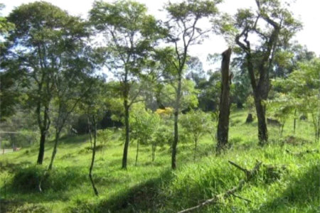 Área de Terra à venda em Alto da Serra (mailasqui), São Roque, SP