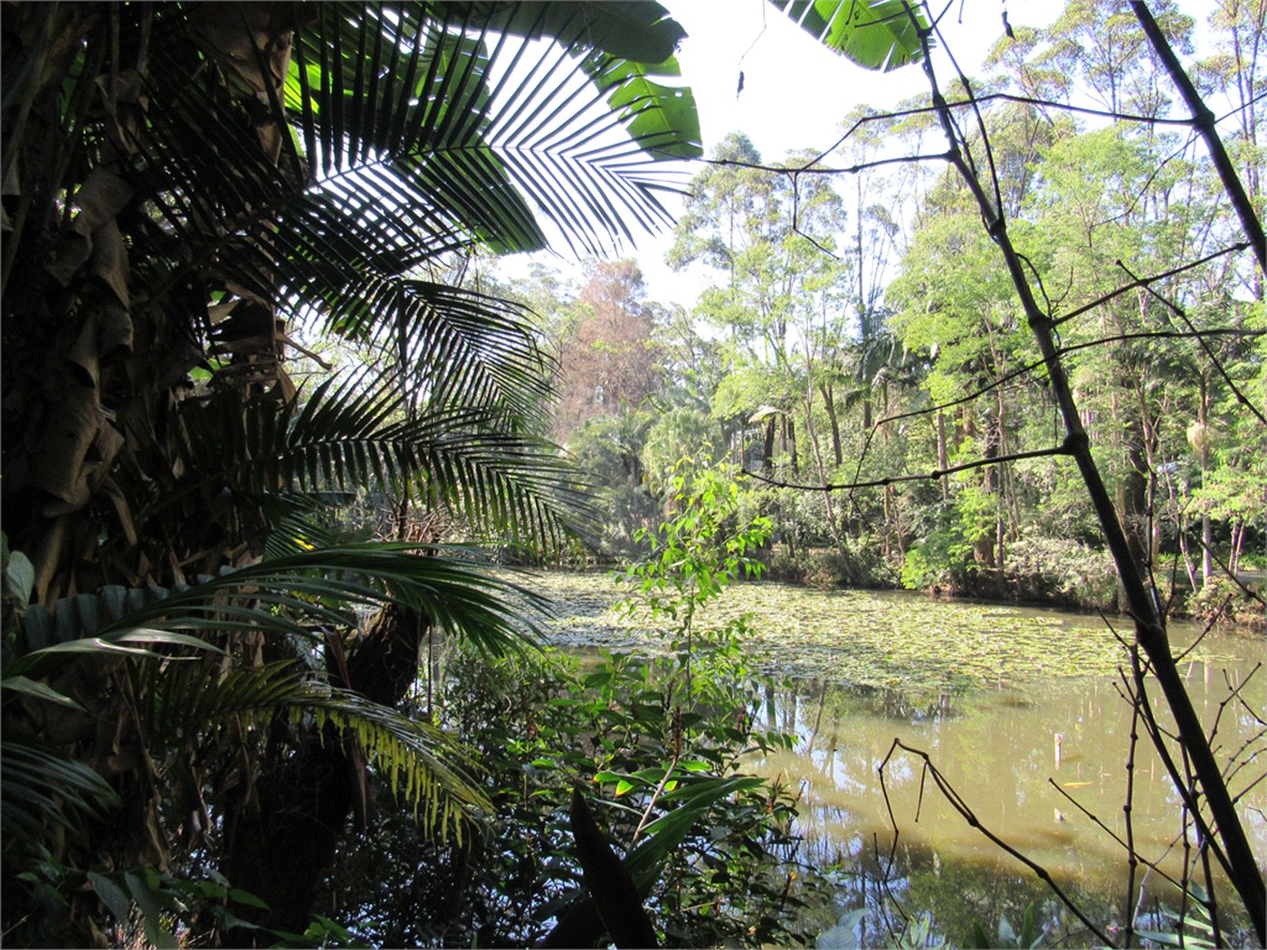 Terreno à venda no condomínio Chácara Flora, São Paulo - SP