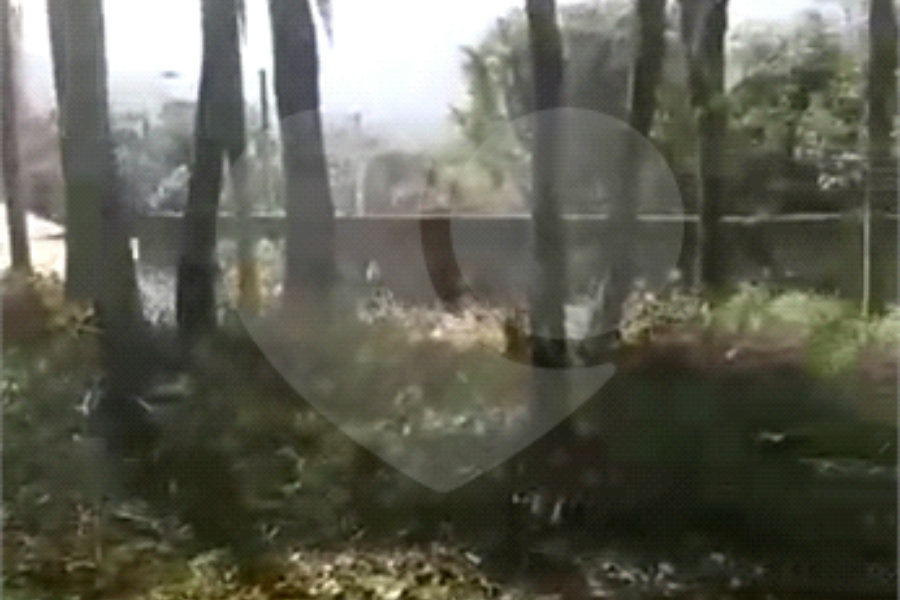 Terreno à venda em Luiz Fagundes, Mairiporã, SP