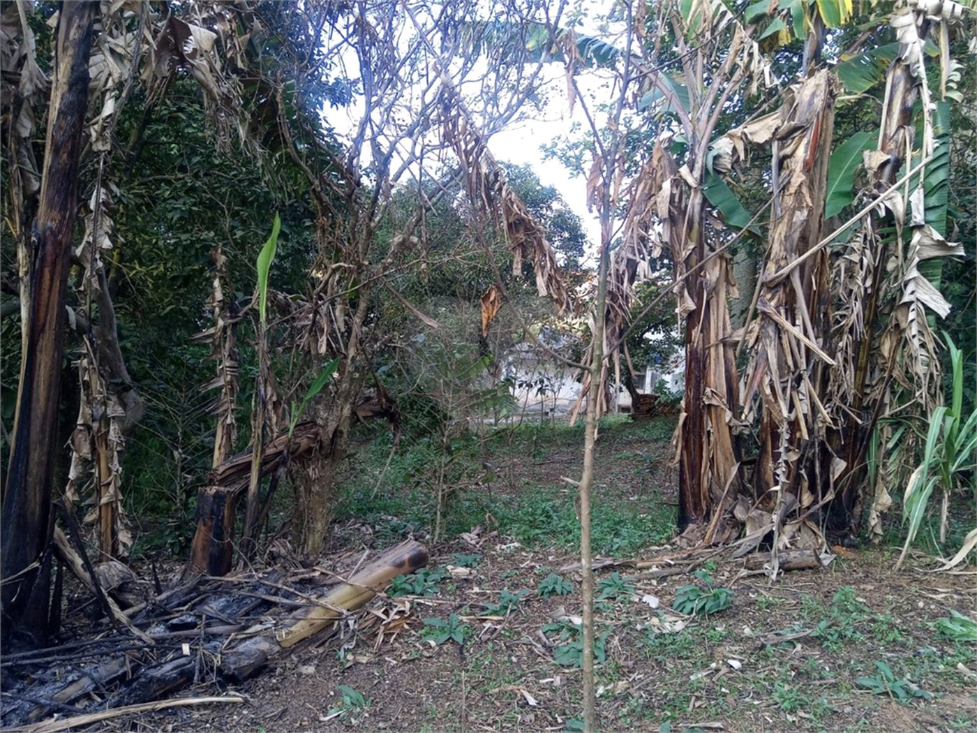 Terreno à venda no condomínio São Marcos, São Paulo - SP