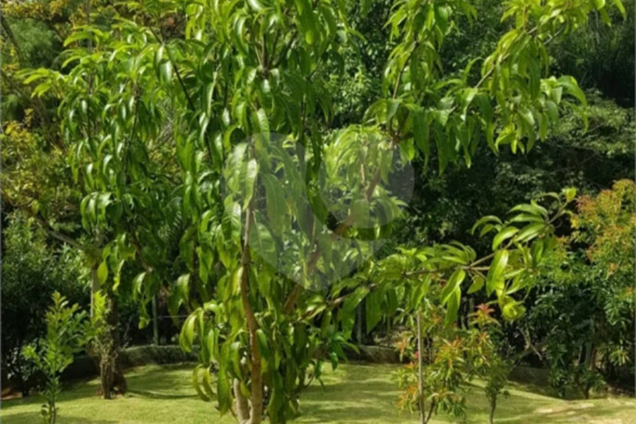 Casa à venda com 4 suítes no condomínio Monte Samkhya, Serra Negra - SP