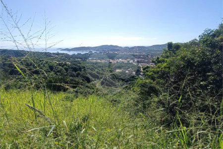 Terreno à venda em Tartaruga, Armação dos Búzios, RJ