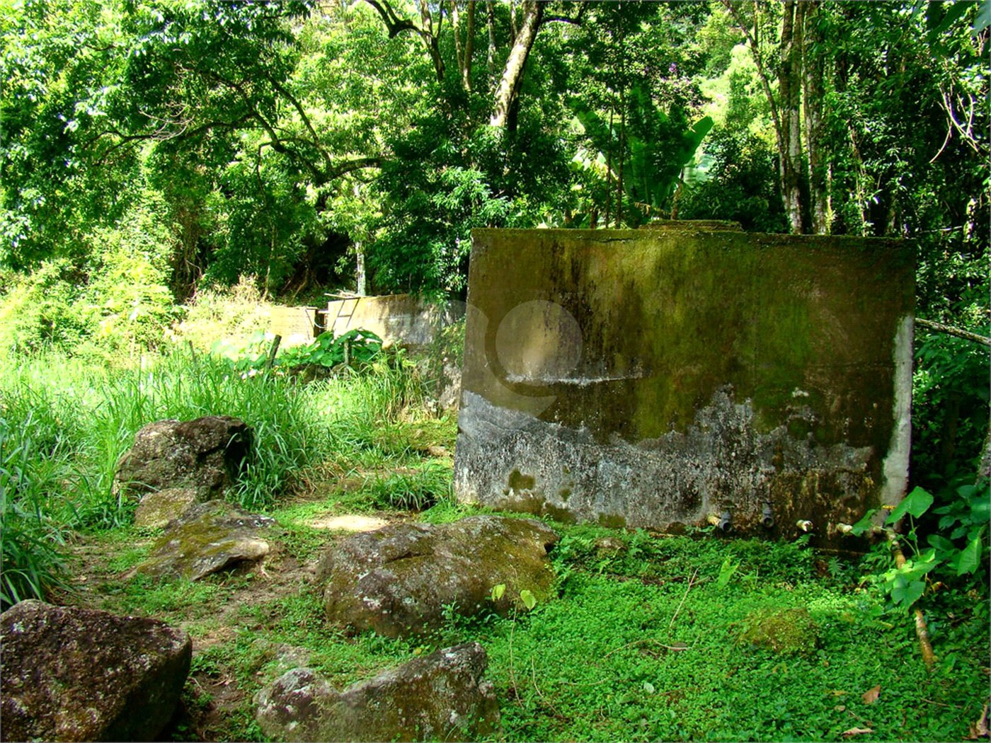 Fazenda à venda com 7 quartos, sendo 3 suítes, em Professor Souza, Casimiro de Abreu, RJ