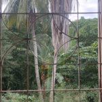 Área de Terra à venda com 4 quartos, sendo 1 suíte, em Pedra de Guaratiba, Rio de Janeiro, RJ