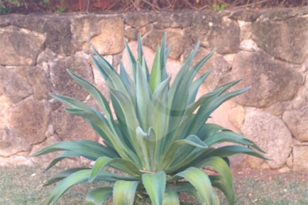 Casa à venda com 4 quartos, sendo 2 suítes, no condomínio Osato, Atibaia - SP