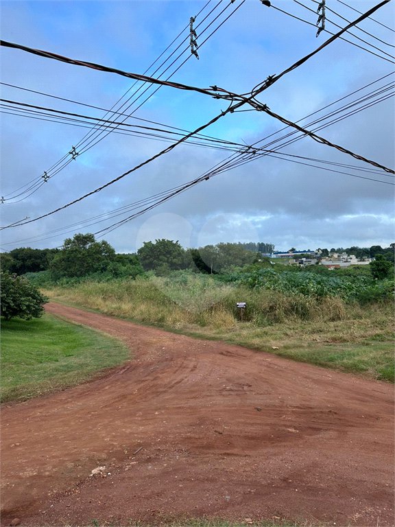 Terreno à venda em Bosque de Ponta Porã, Ponta Porã, MS