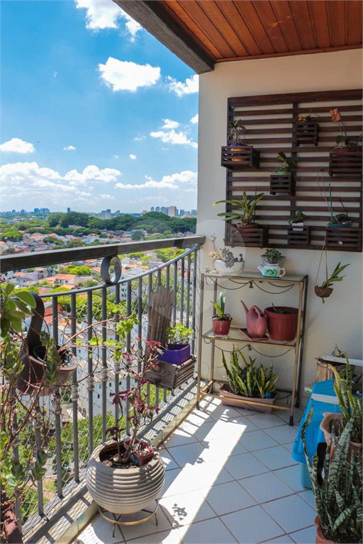 Apartamento à venda com 3 quartos, sendo 1 suíte, em Vila Gomes, São Paulo, SP
