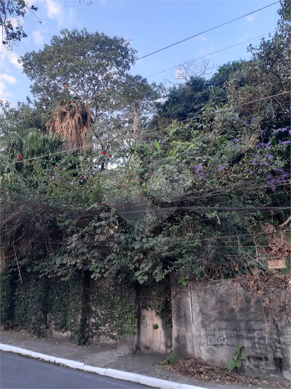 Terreno à venda em Vila Gustavo, São Paulo, SP