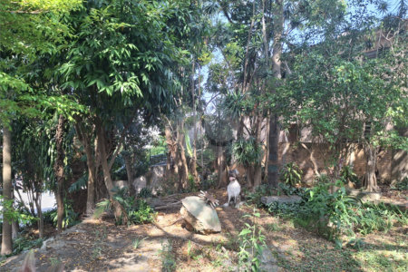 Terreno à venda com 1 quarto em Sumaré, São Paulo, SP