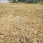 Terreno à venda no condomínio Acmti - Colinas do Mosteiro, Terras de Itaici e Recanto dos Pássaros, Indaiatuba - SP