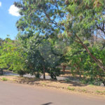 Casa à venda com 3 quartos, sendo 1 suíte, em Vila Boa Vista 1, São Carlos, SP