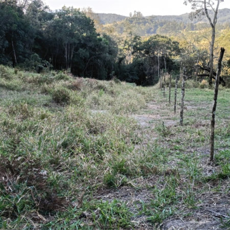 Terreno à venda em Vila Darcy Penteado (mailasqui), São Roque, SP