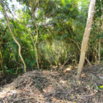 Condomínio à venda em Serra da Cantareira, Mairiporã, SP