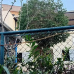 Casa à venda com 4 quartos, sendo 2 suítes, em Vila Sônia, São Paulo, SP