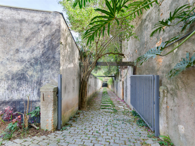 Casa Térrea à venda com 3 quartos, sendo 1 suíte,  em Jardim Petrópolis, São Paulo, SP