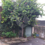 Sobrado à venda com 3 quartos, sendo 1 suíte, em Jaçanã, São Paulo, SP